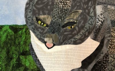 1+1=3: Chosen By Shelter Cats