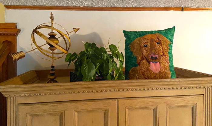 custom dog pillow displayed at home