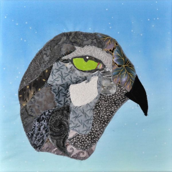 portrait of grey hawk head in twilight sky
