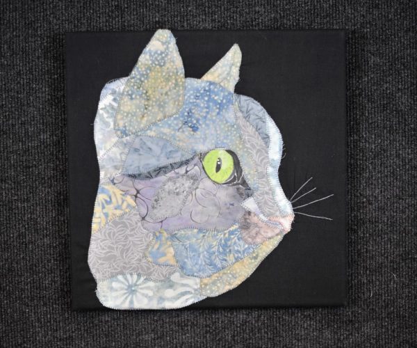 Head portrait of light grey cat