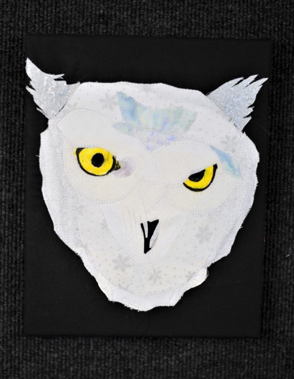 Full picture of face of white owl